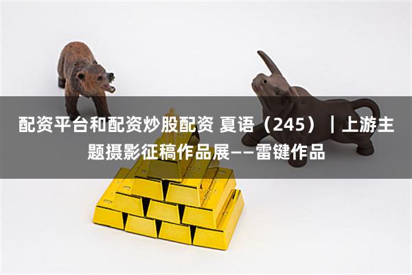 配资平台和配资炒股配资 夏语（245）｜上游主题摄影征稿作品展——雷键作品